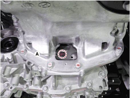 Hyundai Palisade. Repair procedures