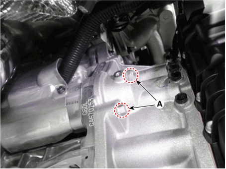 Hyundai Palisade. Repair procedures