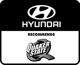 Hyundai Palisade. Filter