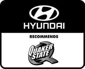 Hyundai Palisade. Filter