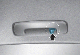 Hyundai Palisade. Clock & Coat Hook