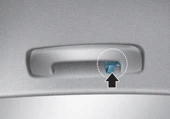 Hyundai Palisade. Clock & Coat Hook