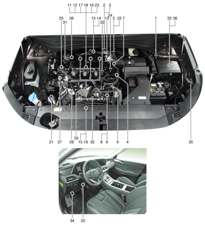 Hyundai Palisade. Components and components location