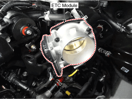 Hyundai Palisade. Components and components location