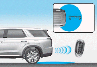 Hyundai Palisade. Detecting area