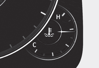 Hyundai Palisade. gauge