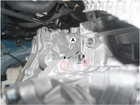 Hyundai Palisade. Repair procedures