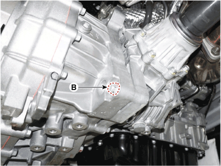 Hyundai Palisade. Repair procedures