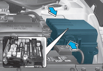 Hyundai Palisade. Fuse/Relay Panel Description