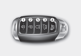 Hyundai Palisade. smart key