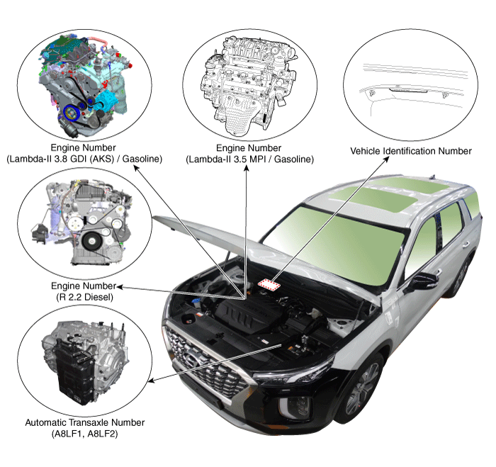 Hyundai Palisade. Identification Numbers