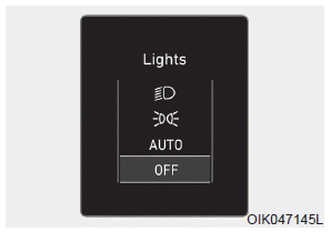 Hyundai Palisade. LCD Display Messages