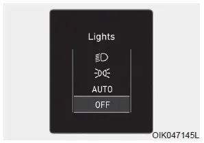 Hyundai Palisade. LCD Display Messages