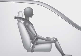 Hyundai Palisade. Occupant Classification System