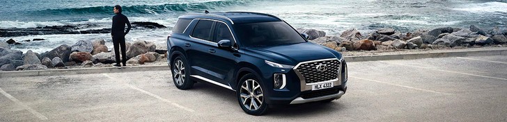 Hyundai Palisade: Owners and Service manuals