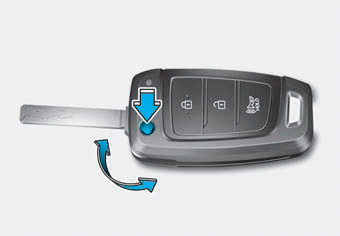 Hyundai Palisade. Panic button, Start-up, Mechanical key