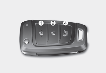 Hyundai Palisade. Remote Key