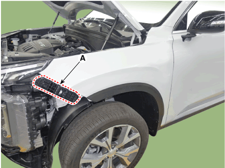 Hyundai Palisade. Repair procedures