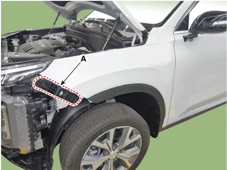 Hyundai Palisade. Repair procedures