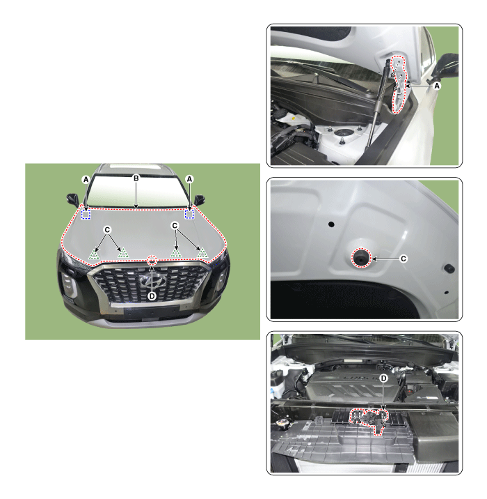 Hyundai Palisade. Repair procedures