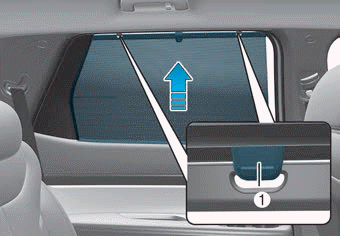 Hyundai Palisade. Side Curtain