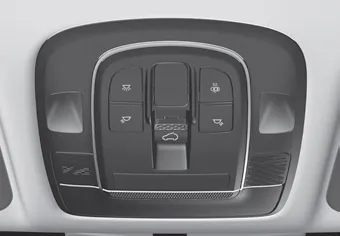 Hyundai Palisade. Sunroof