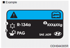 Hyundai Palisade. System Maintenance