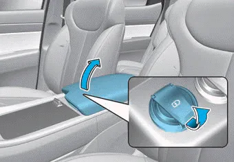 Hyundai Palisade. USB Charger