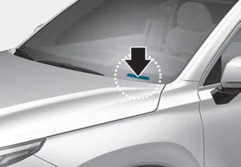 Hyundai Palisade. Vehicle Identification Number (VIN)