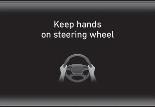 Hyundai Palisade. Warning Message