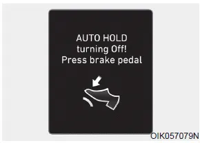 Hyundai Palisade. Warning messages